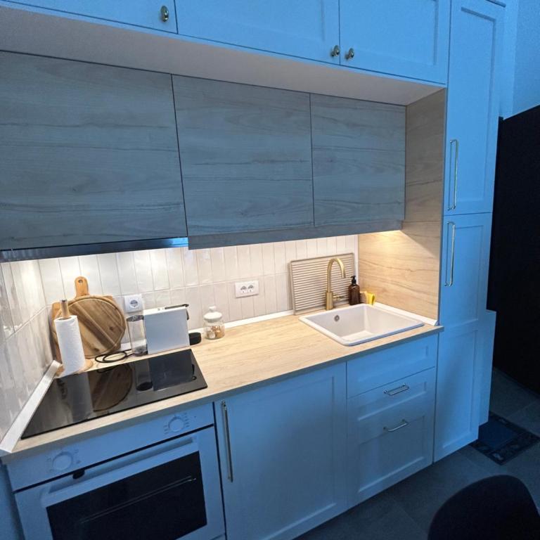 Apartman Zir - Apartman sa 3 Spavaće Sobe - 9