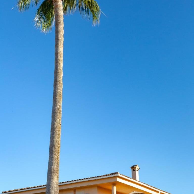 Villa Palmera - Villa - 56