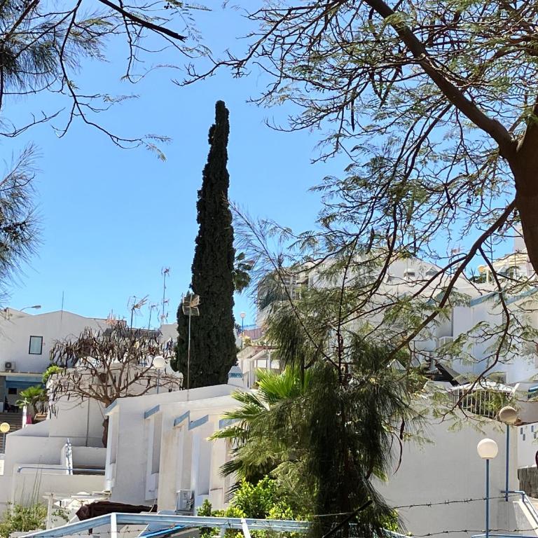 casAkash Maspalomas - Bungalow de un dormitorio - 25