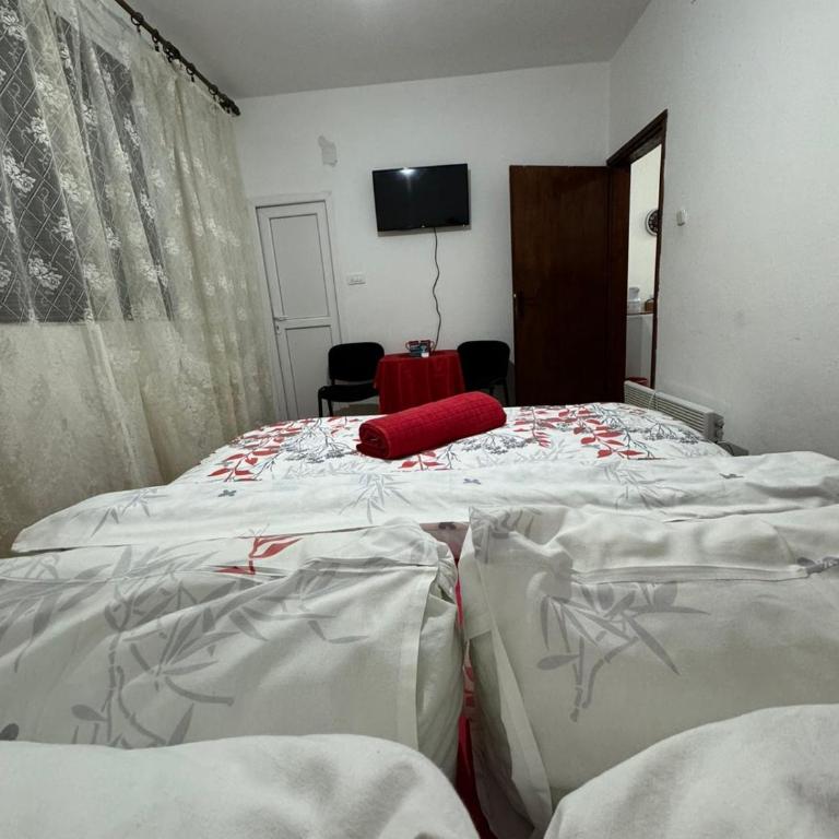 Airport home Radinovic - Large Double Room - 9