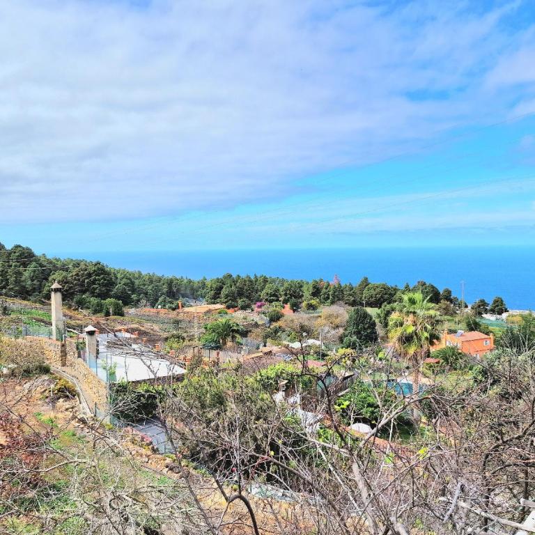 Casa Canaria Drago in Icod de los Vinos - Casa de 2 dormitorios - 24