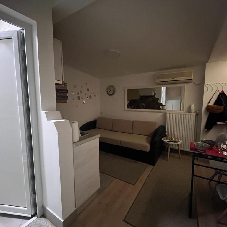 Nilton 2 Apartmans - Apartman sa 1 Spavaćom Sobom - 17