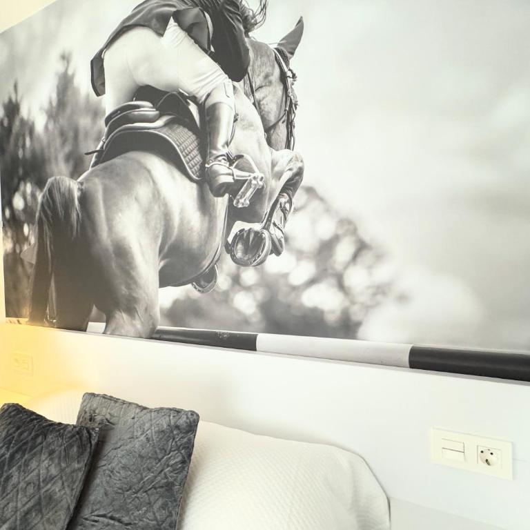 Apartamentos Identia Sport by gaiarooms - Estudio Superior - 44