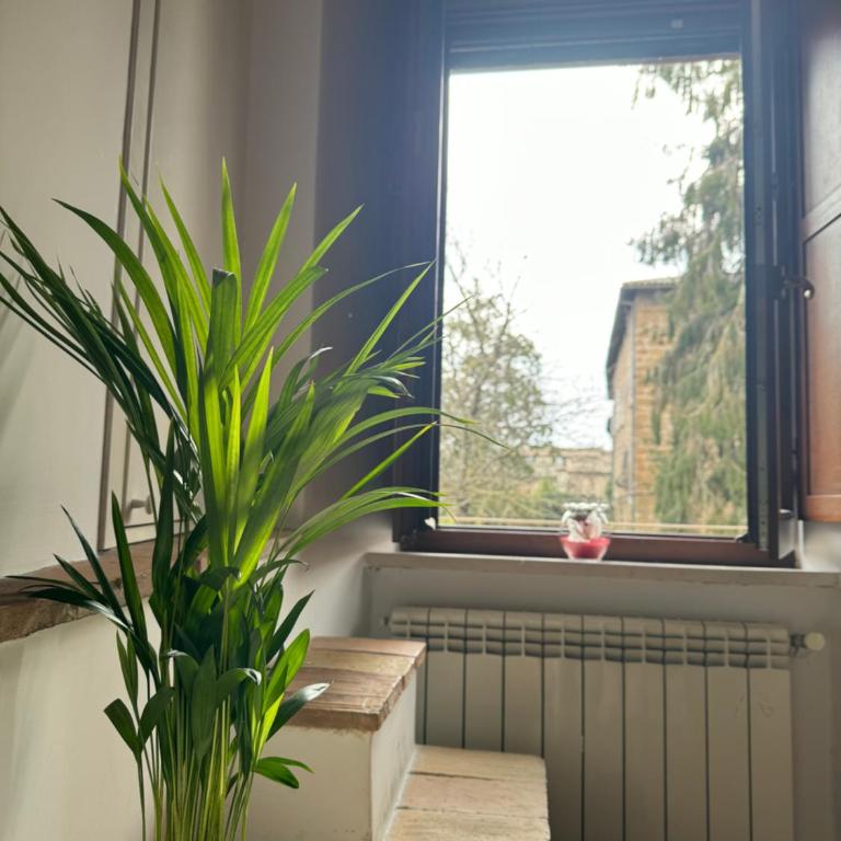 Casa Vacanze Mary - Casa con 1 Camera da Letto - 6