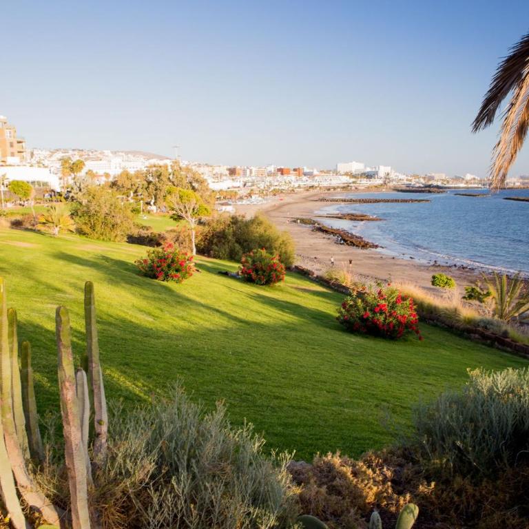 Ocean View Apartment with large terrace and Netflix smart TV Costa Adeje - One-Bedroom Apartment - 30