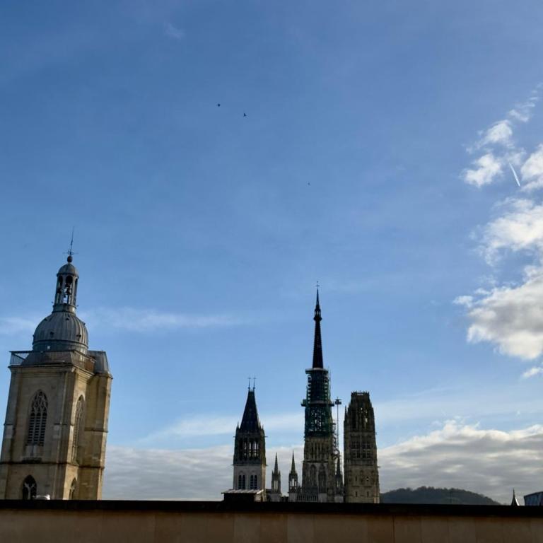 Rouen Hypercentre - Le relais des Amis - Appartement - 29