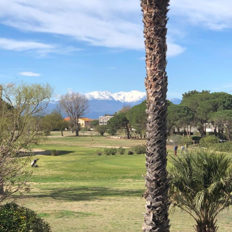 Saint Cyprien Golf View 2 bedrooms Apartment , 900 m from the beach - Appartement avec Balcon - 12