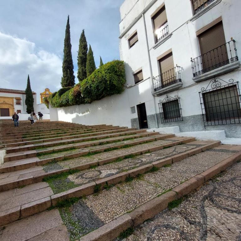 Loft con Alma Córdoba Centro - Apartamento de 1 dormitorio - 24