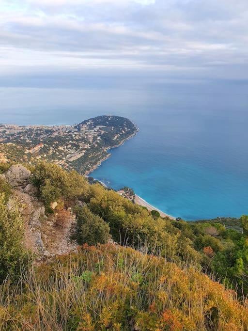 Loft studio avec mezzanine, limitrophe Monaco - Appartement 1 Chambre - 25
