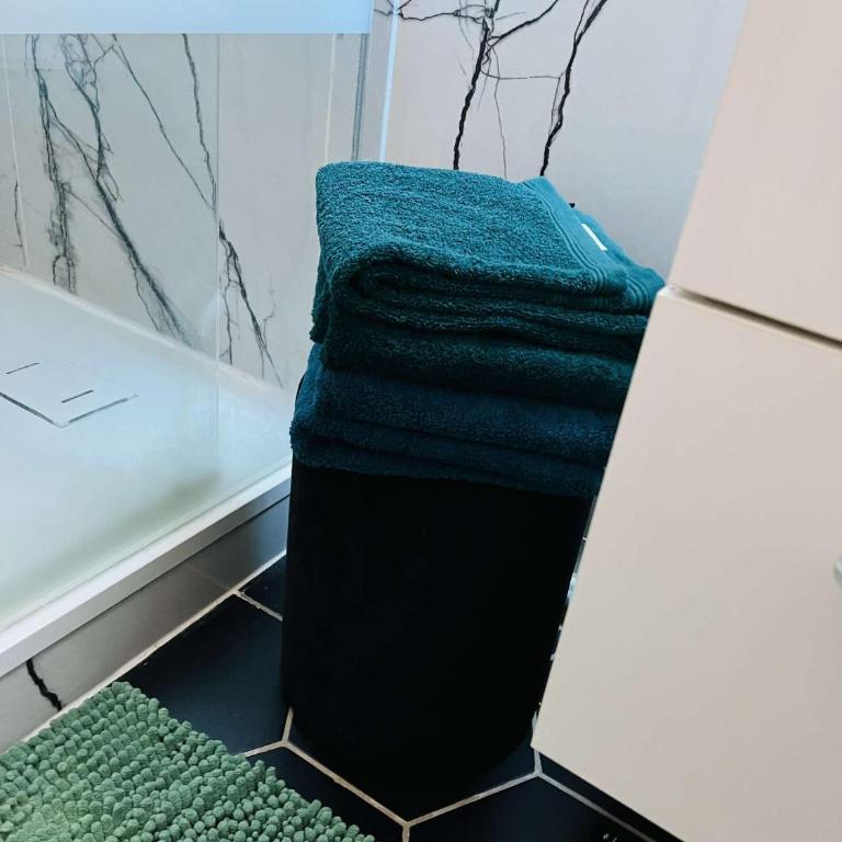Appartement moderne vieille ville PARKING GRATUIT - Apartment mit 1 Schlafzimmer - 33