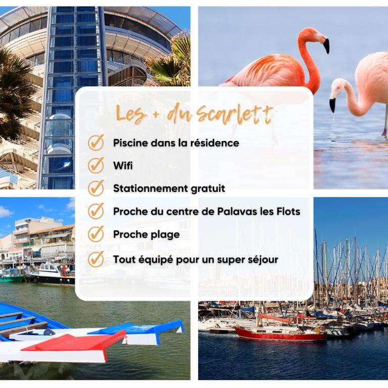 Le Scarlett - Piscine, parking et proche plage - Appartement 2 Chambres - 9