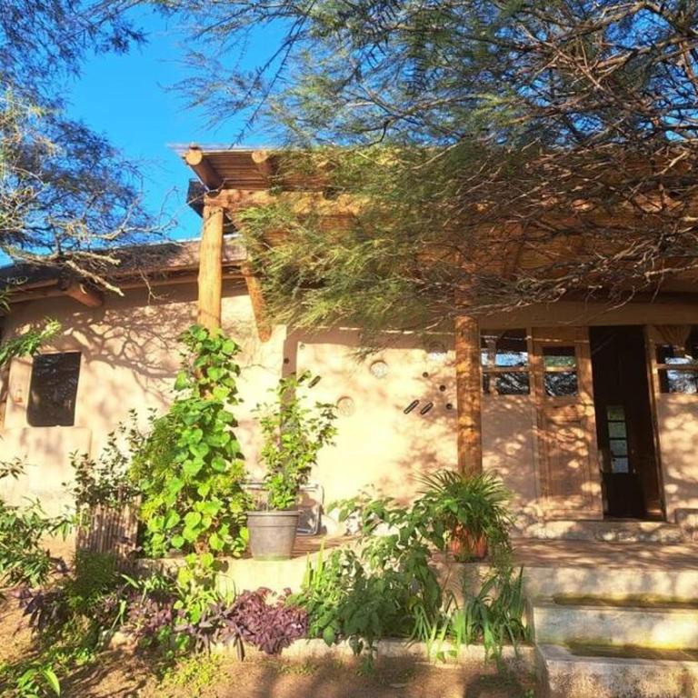 Hermosa casa amplia y luminosa - Casa de 2 dormitorios - 10