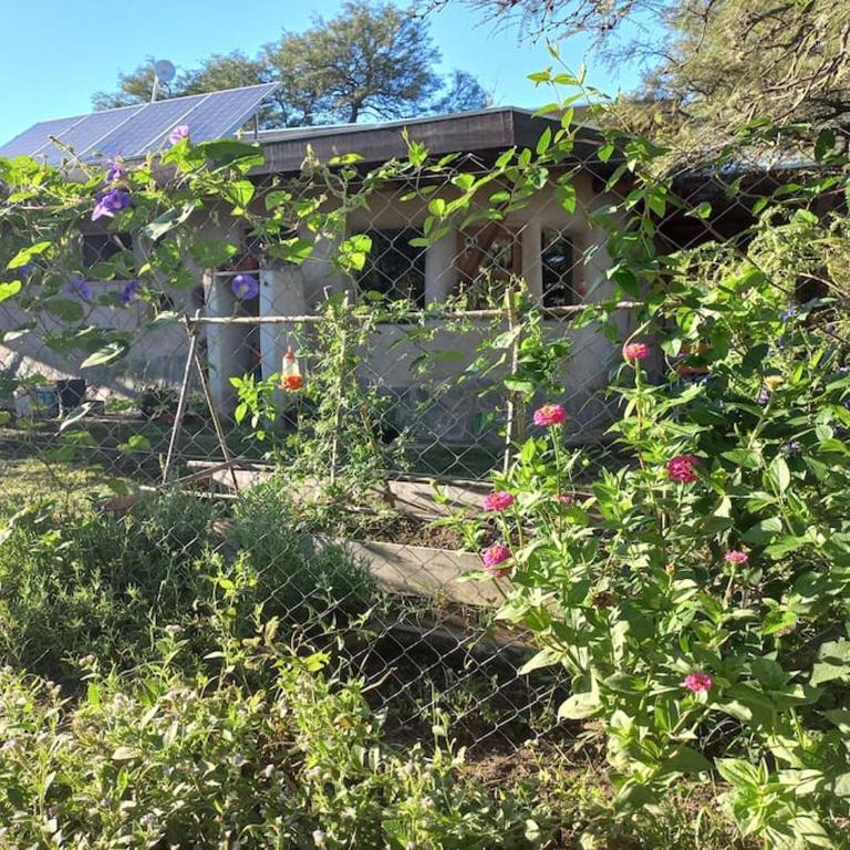 Hermosa casa amplia y luminosa - Casa de 2 dormitorios - 28