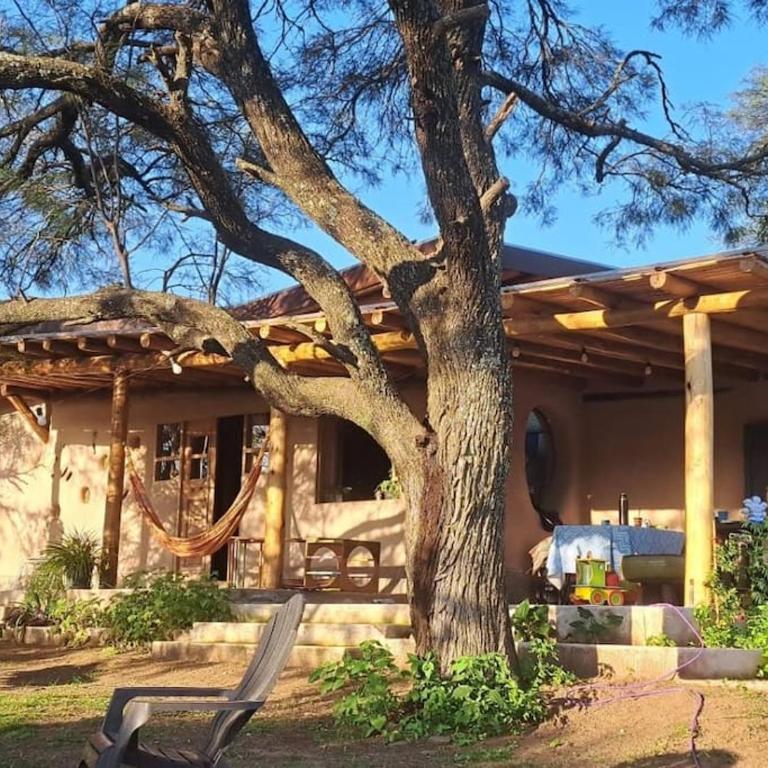 Hermosa casa amplia y luminosa - Casa de 2 dormitorios - 35