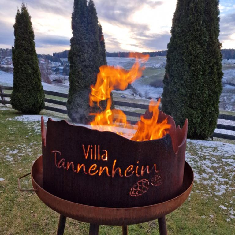 Villa Tannenheim - Appartamento con 2 Camere da Letto e con Vista Montagna - 1