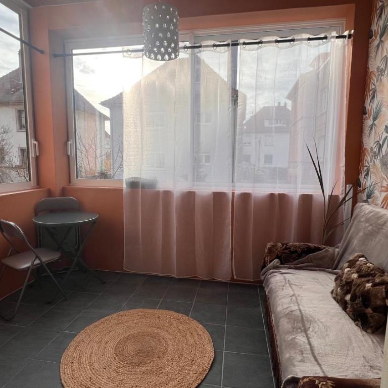 T3 VÉRANDA BUREAU à STRASBOURG - Appartamento con 2 Camere da Letto - 6