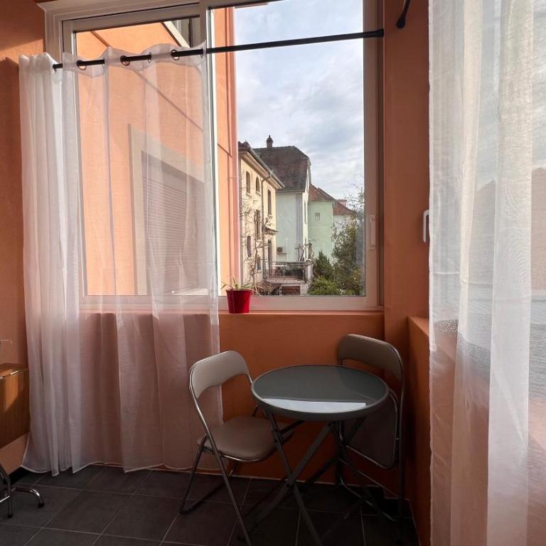 T3 VÉRANDA BUREAU à STRASBOURG - Appartamento con 2 Camere da Letto - 7