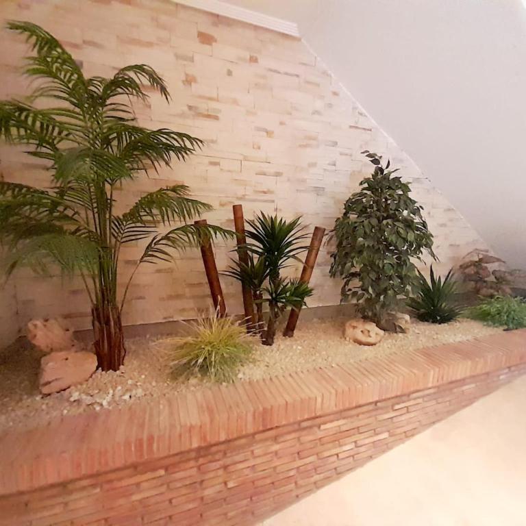 COSTA AZAHAR I, NEW DREAMS, Playa Amplaries - Apartamento de 2 dormitorios - 14