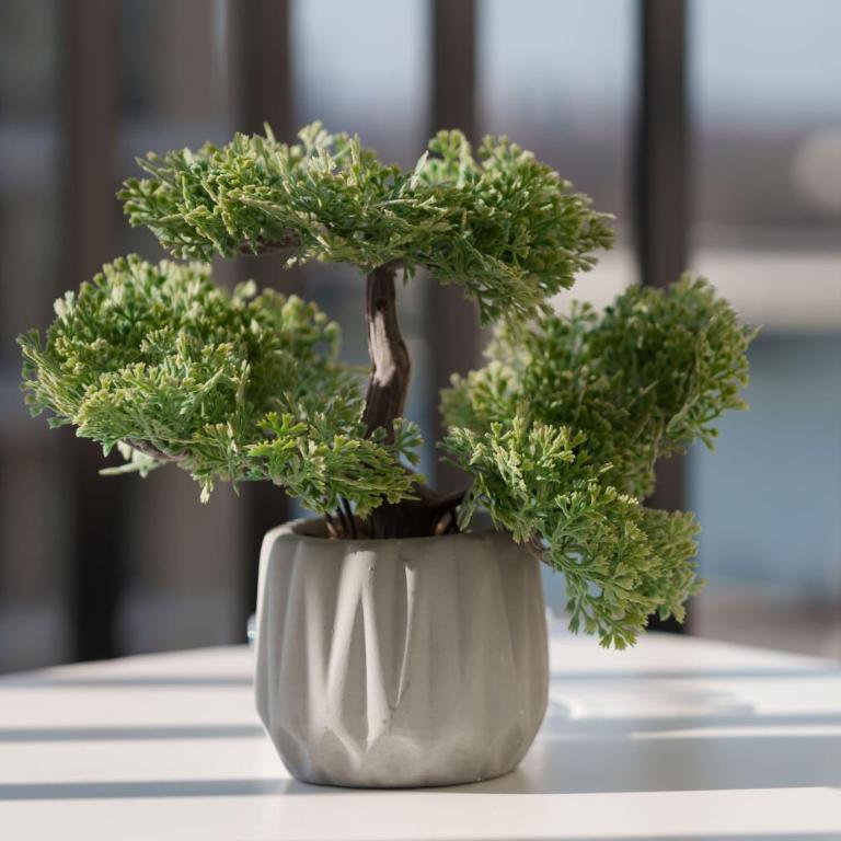 Capital Lux Apartments-Belgrade Waterfront - Apartman sa 1 Spavaćom Sobom - 24