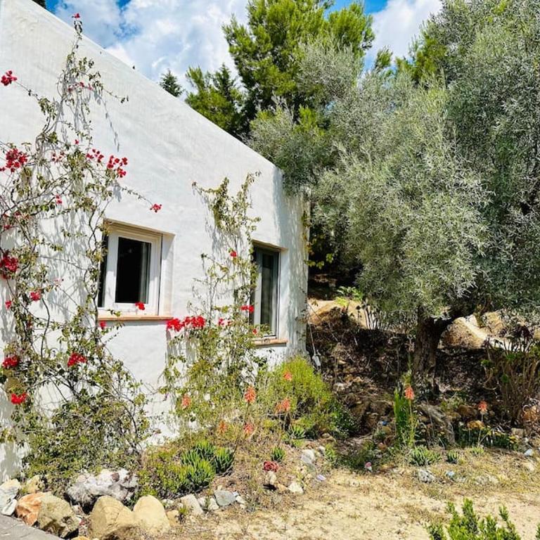 Satori, paradise in rural malaga - Casa con 1 dormitorio - 36
