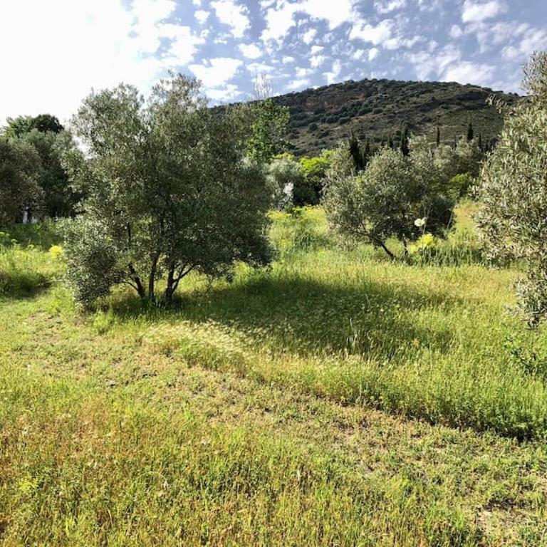 Satori, paradise in rural malaga - Casa con 1 dormitorio - 33