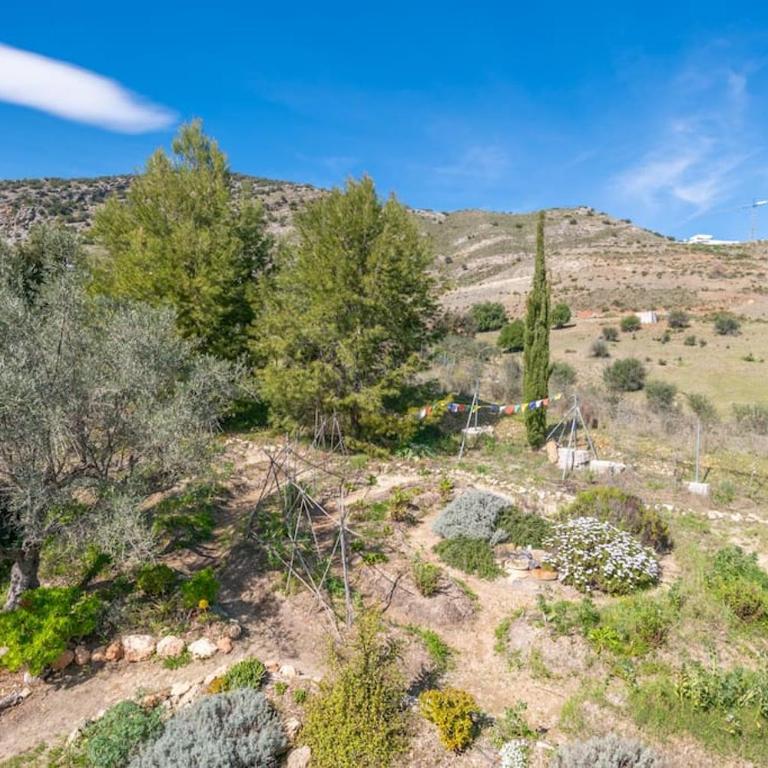 Satori, paradise in rural malaga - Casa con 1 dormitorio - 34