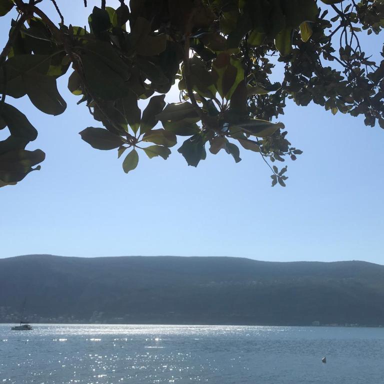 Adria Montenegro Seaview - One-Bedroom Apartment - 31