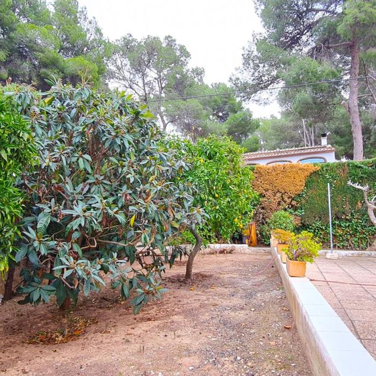 Villa los Agaves Javea piscina y barbacoa - Villa de 3 dormitorios - 33