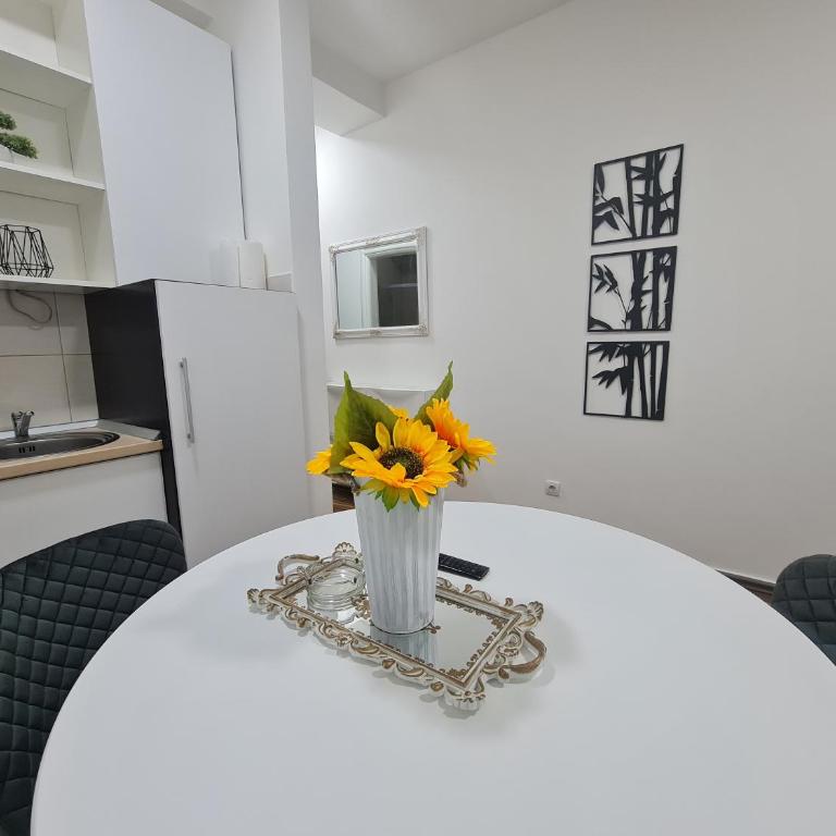 Babuska studio - Apartman sa 1 Spavaćom Sobom - 9