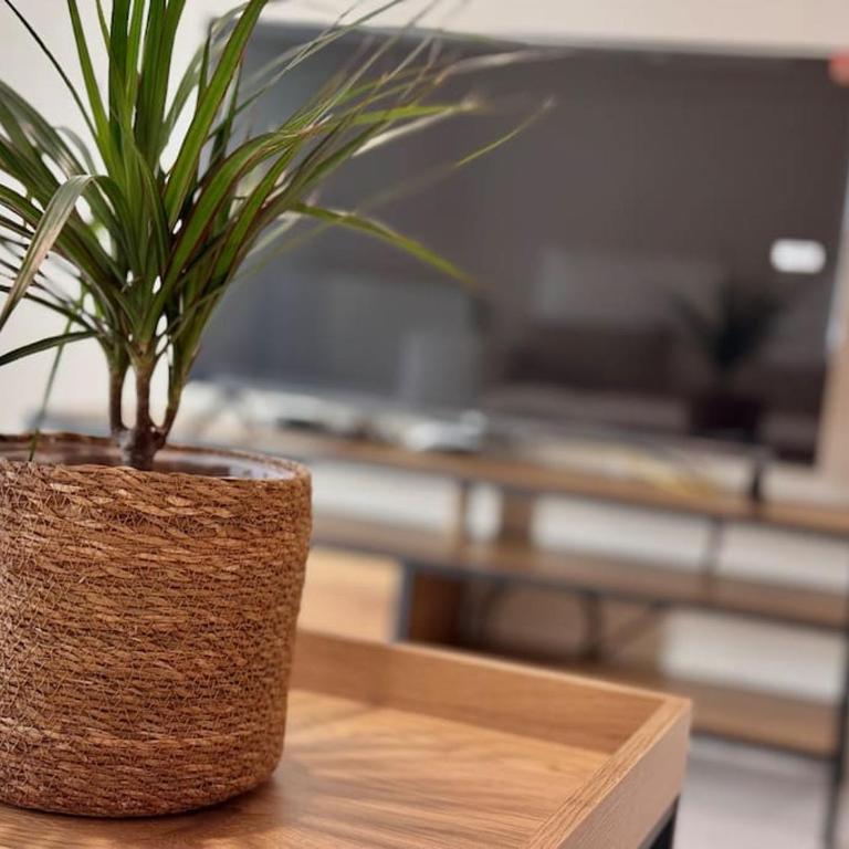 Apartamento en PLENO CENTRO con APARCAMIENTO opcional - Apartamento de 2 dormitorios - 3