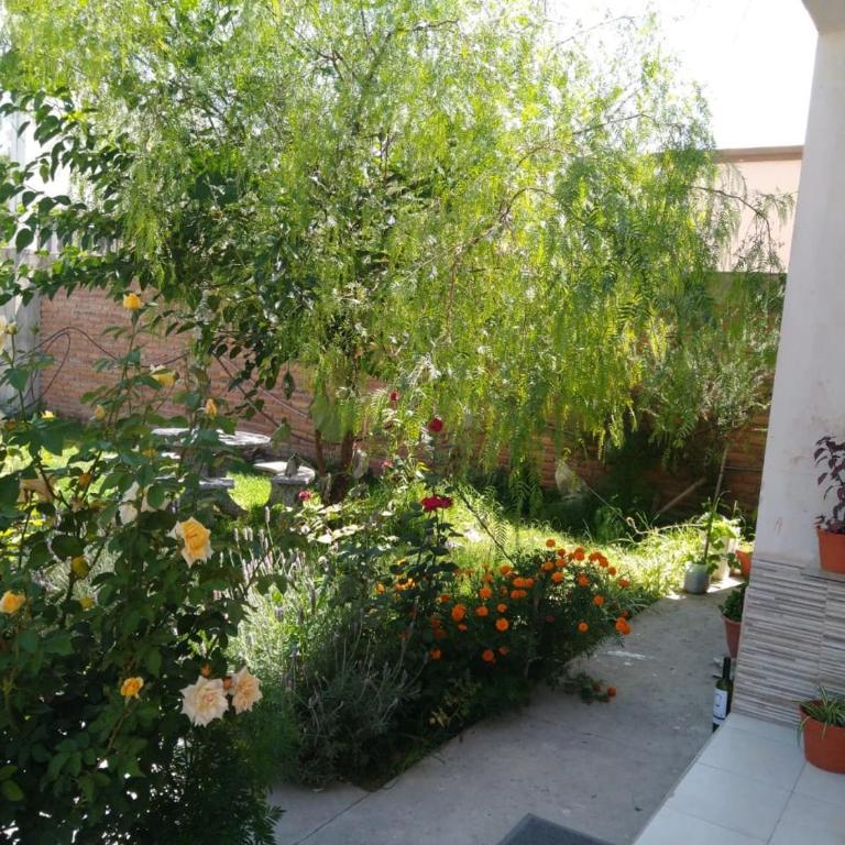 Casa en los Valles - Casa de 2 dormitorios - 3