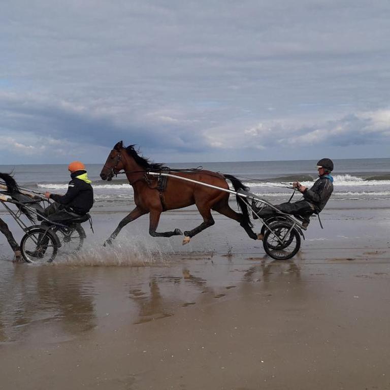 Appartement proche de la plage de Cabourg - Apartment mit 1 Schlafzimmer - 9