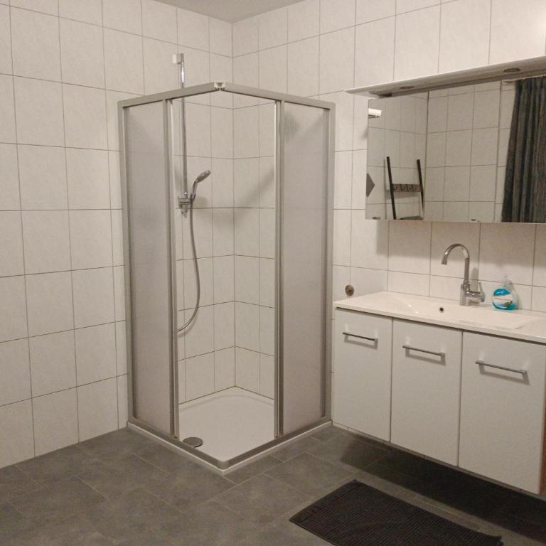 Appart Mount Gilfert View - Apartamento de 1 dormitorio con ducha - 6