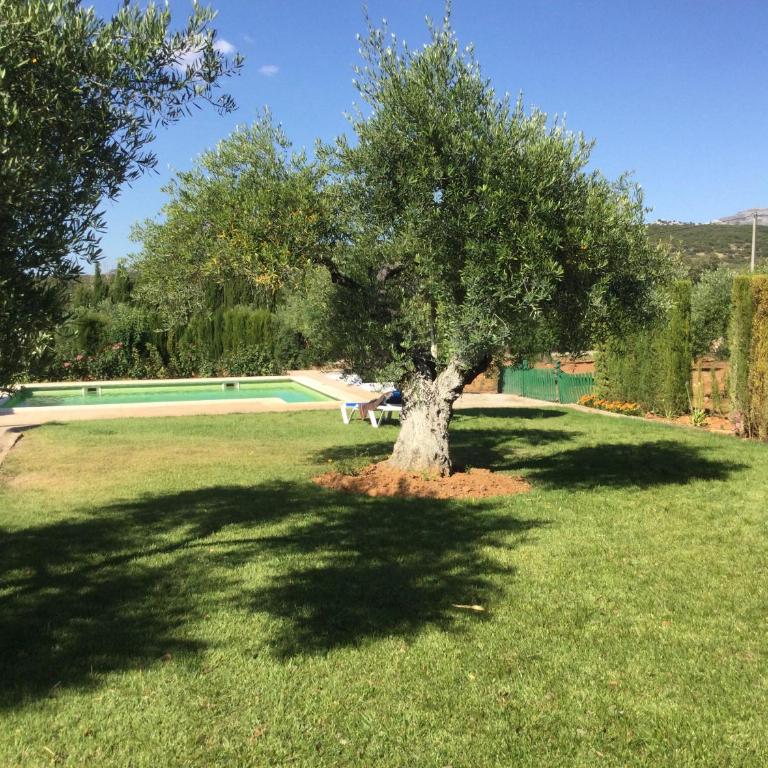 El Carmen - Villa - 39