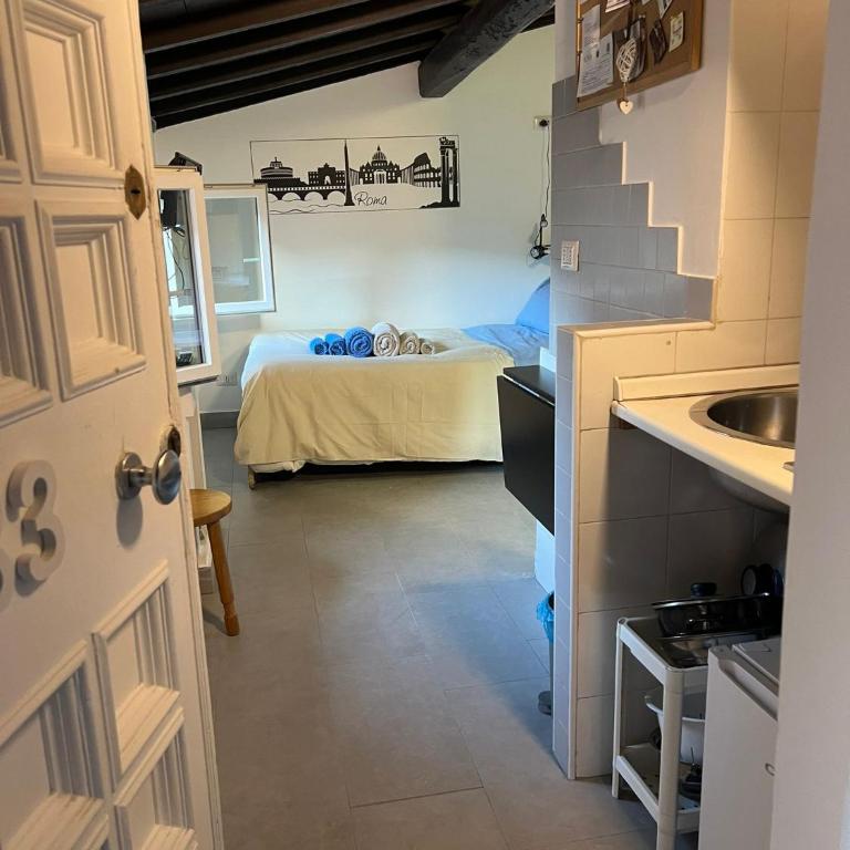 Monolocale Trastevere locato per finalità turistiche - Appartamento con 1 Camera da Letto - 25