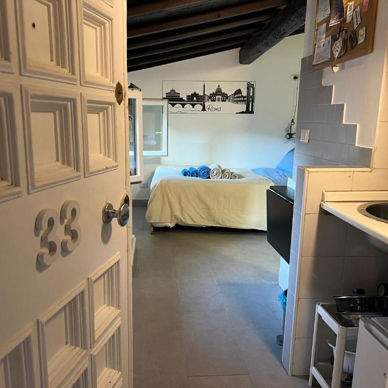 Monolocale Trastevere locato per finalità turistiche - Appartamento con 1 Camera da Letto - 14