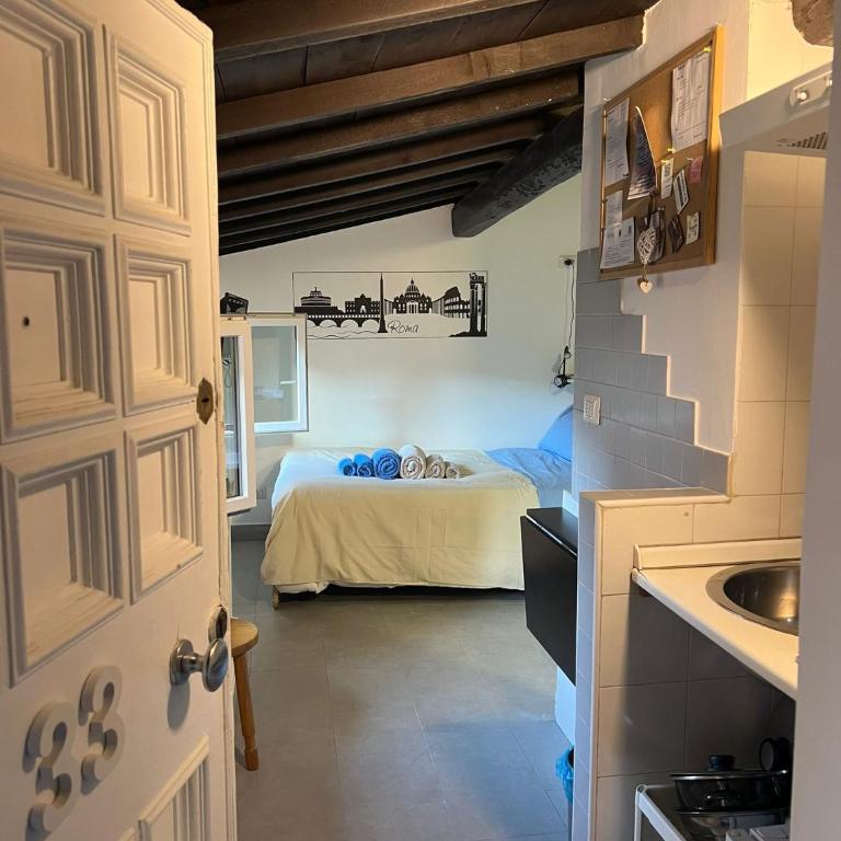 Monolocale Trastevere locato per finalità turistiche - Appartamento con 1 Camera da Letto - 15