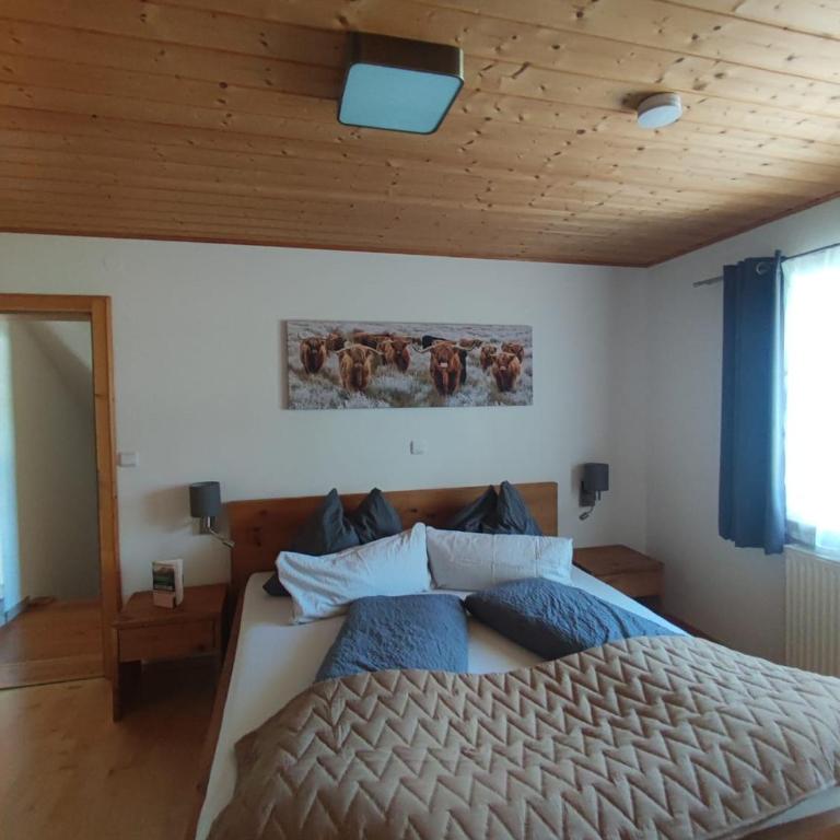 Haus Schatzl - 2 Apartments 50 oder 95 m2, Gartenbereich und Baden im Fluss - Apartamento - 2 niveles - 6