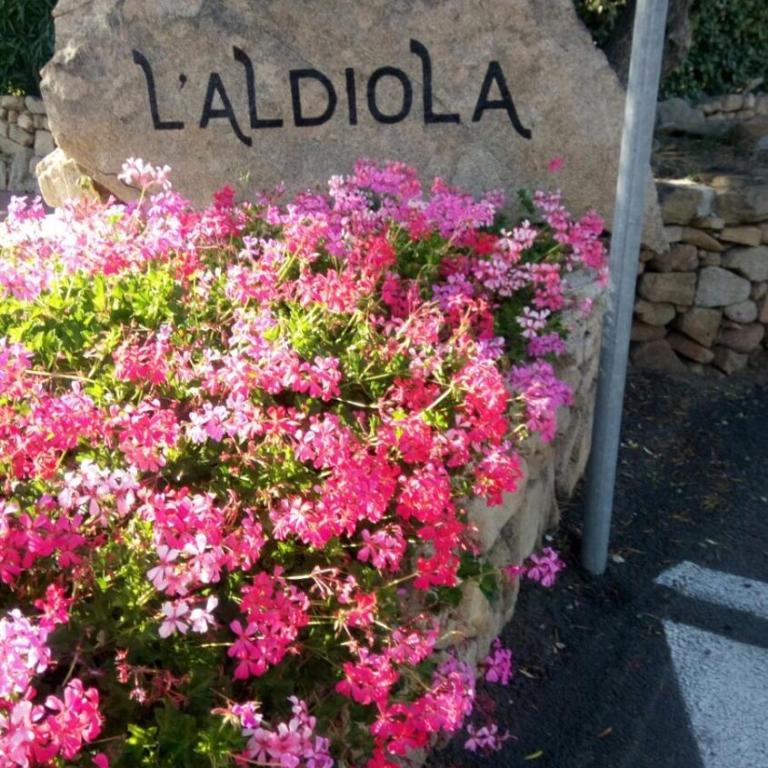 "Conchiglia di mare" Residence l'Aldiola - Porto Rotondo - Appartamento con 2 Camere da Letto - 23
