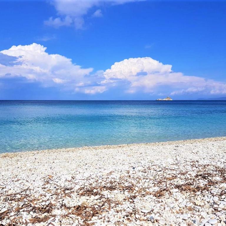 La Goletta - ArgonautiVacanze - Appartamento con Vista Mare - 13