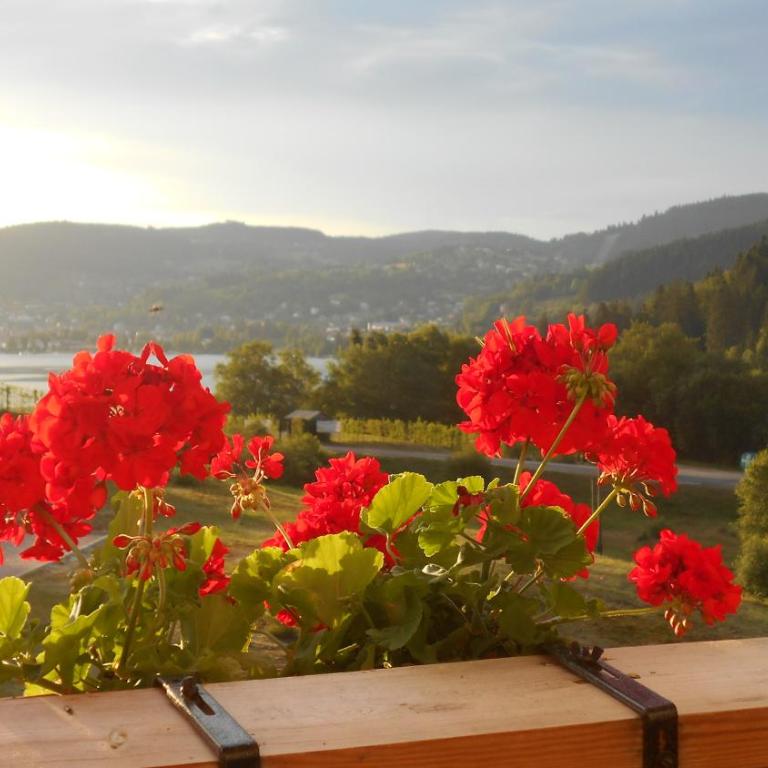 Gérardmer : appartement 43m2, classé 3*, vue lac - Appartement 1 Chambre - 1