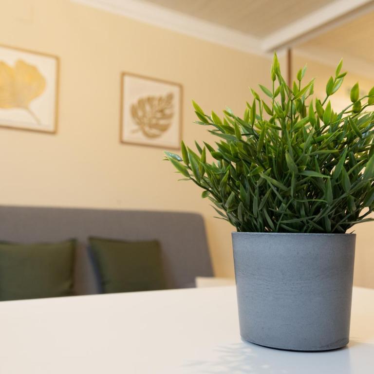 Cangastur II - Apartamento de 1 dormitorio - 16