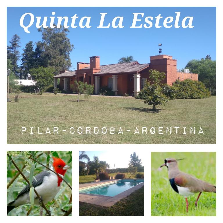 QUINTA LA ESTELA - Two-Bedroom Chalet - 1