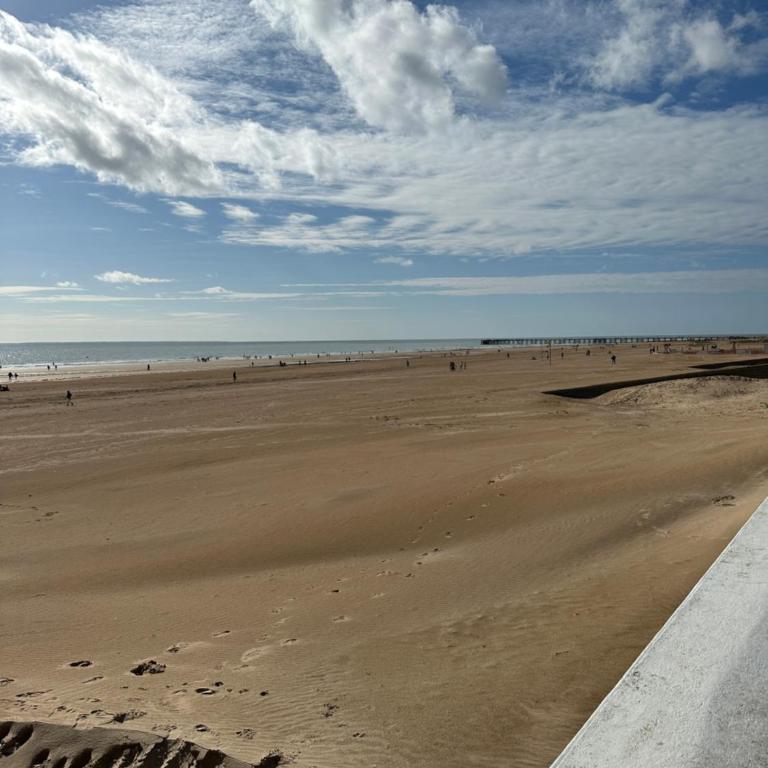 Le nid Montois, 50m de la plage de la baigneuse - Appartement 1 Chambre - 24
