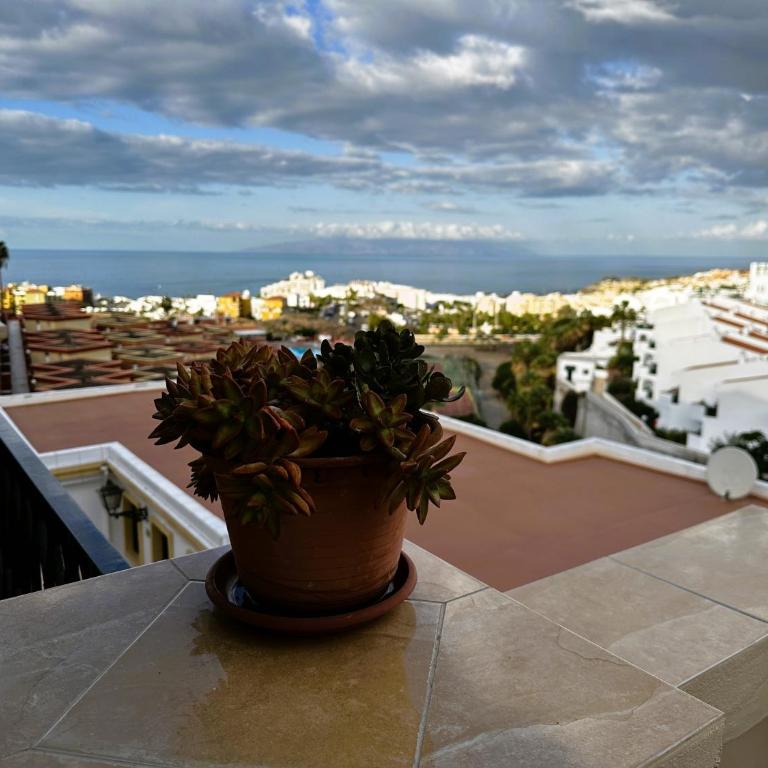 Costa Adeje - Amazing Ocean And Teide View - Fast WiFi, Air Con - Apartamento de 1 dormitorio - 60