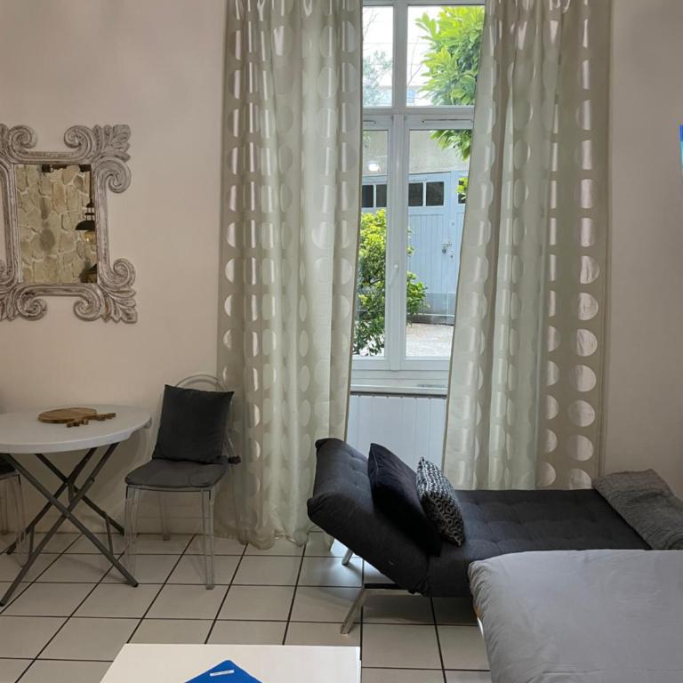 Chaleureux meublé 3 étoiles 40m2 - Monolocale con Accesso Disabili - 8