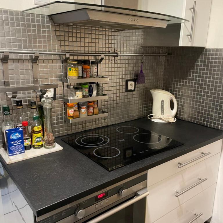 Chaleureux meublé 3 étoiles 40m2 - Monolocale con Accesso Disabili - 12
