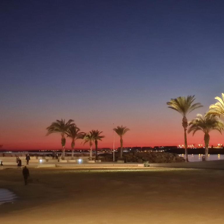 Apartments near Del Cura and Los Locos beaches - One-Bedroom Apartment - 37