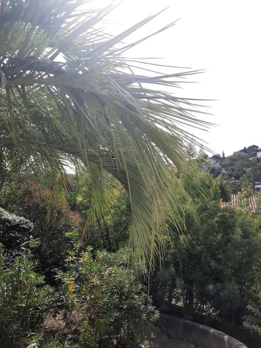 VILLA LE REPERE - TOUT CONFORT VUE MER 14 PERSONNES - - Villa - 19