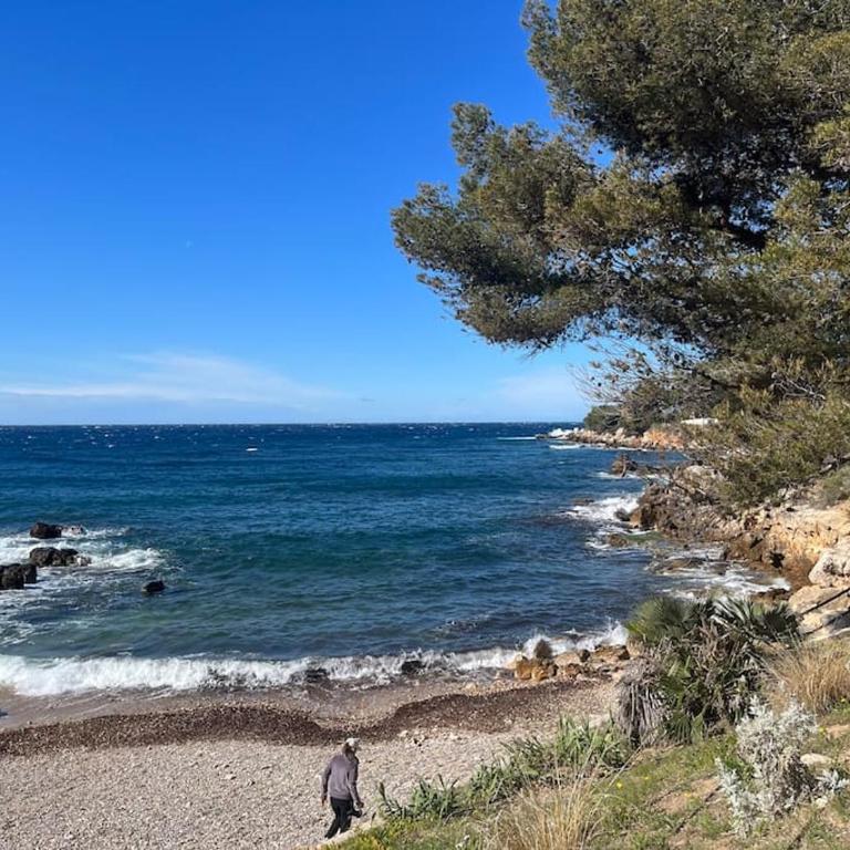42- Beau studio calme 50m de la mer - Appartement 1 Chambre - 1